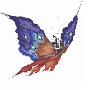 image of butterfly